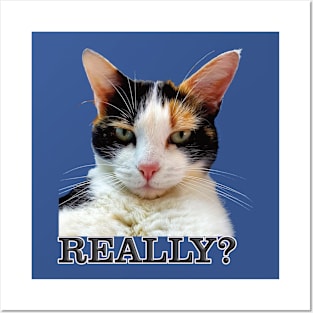 Cute Calico Cat with Attitude – Really? Posters and Art